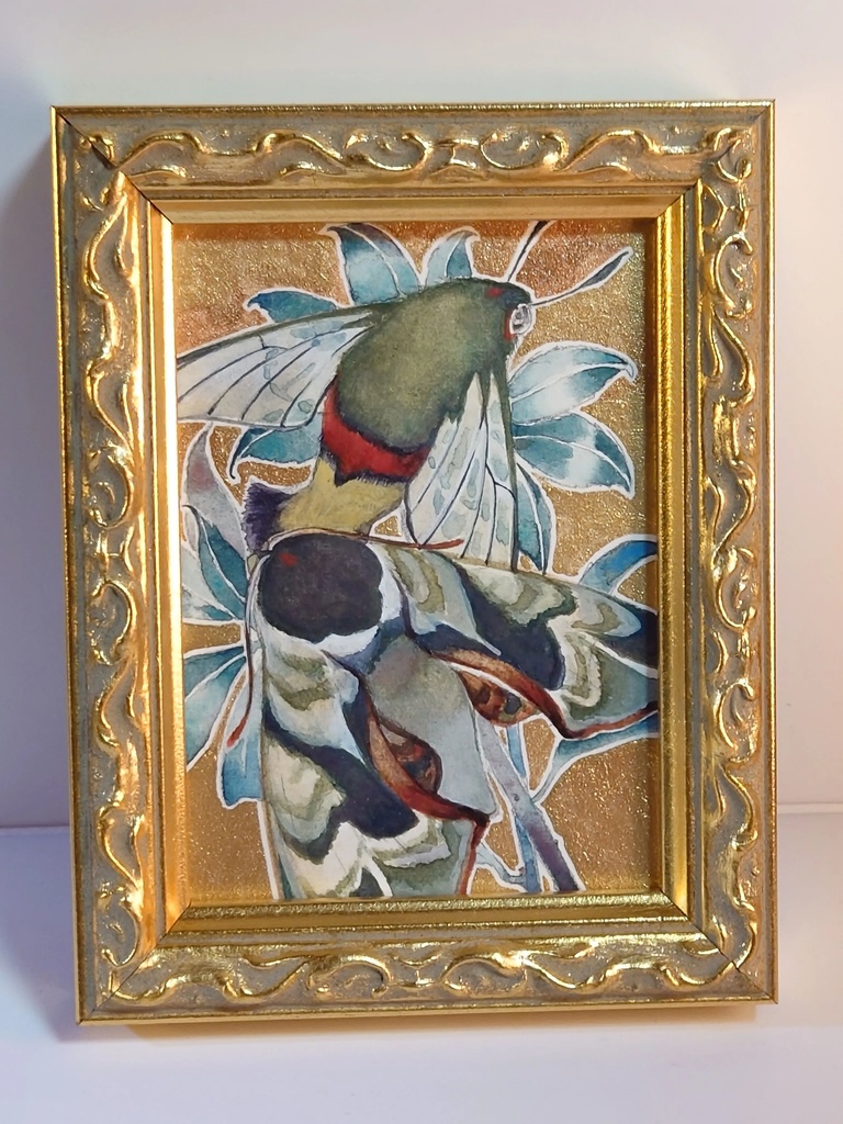 直筆ATC「仙蛾」