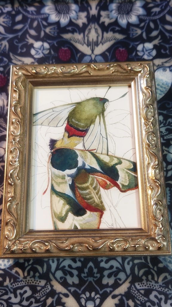 直筆ATC「仙蛾」