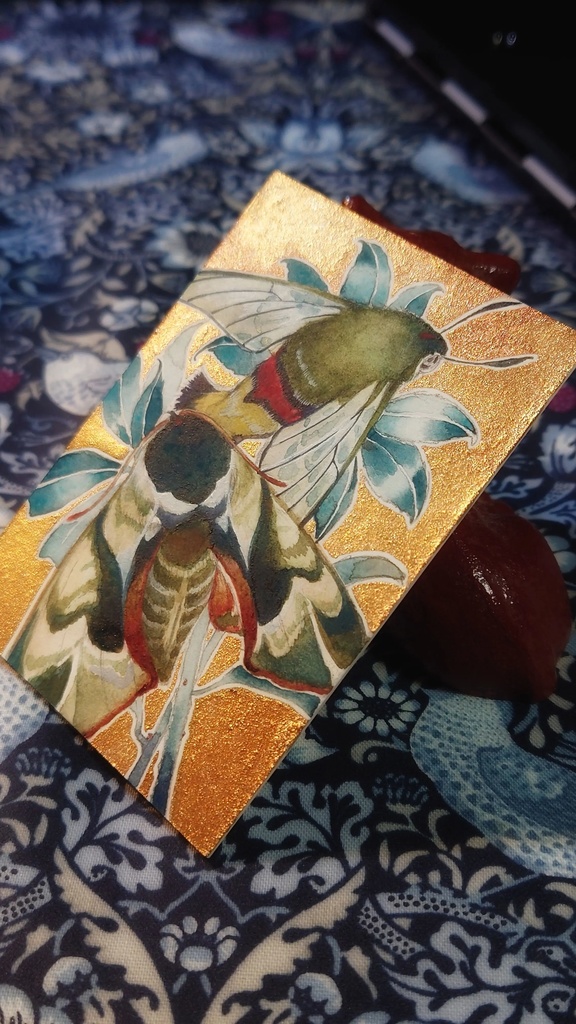 直筆ATC「仙蛾」