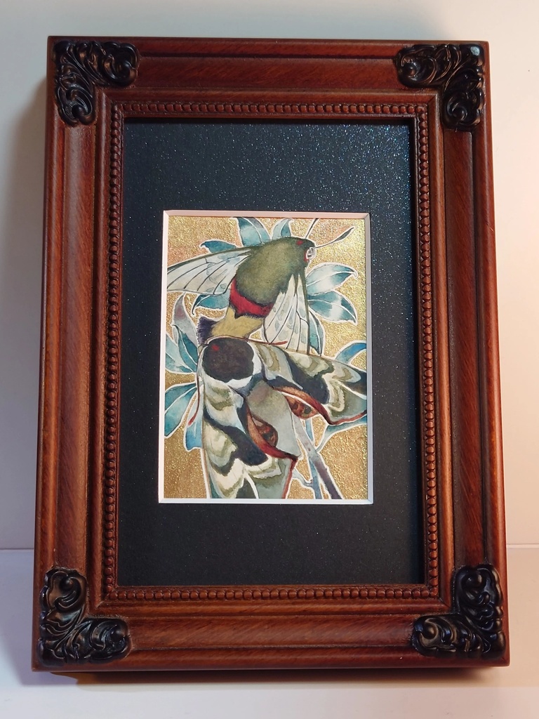 直筆ATC「仙蛾」