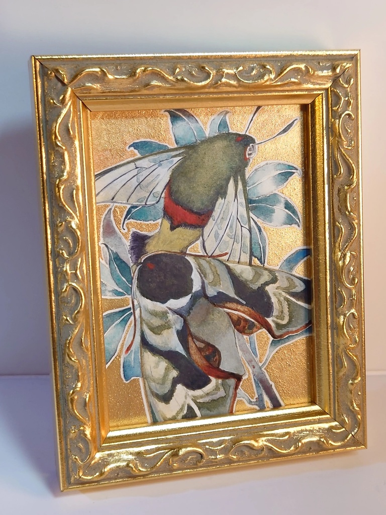 直筆ATC「仙蛾」