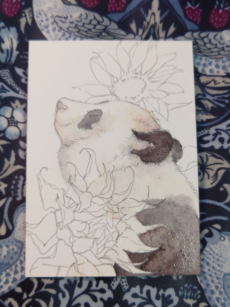 直筆ATC「向日葵」