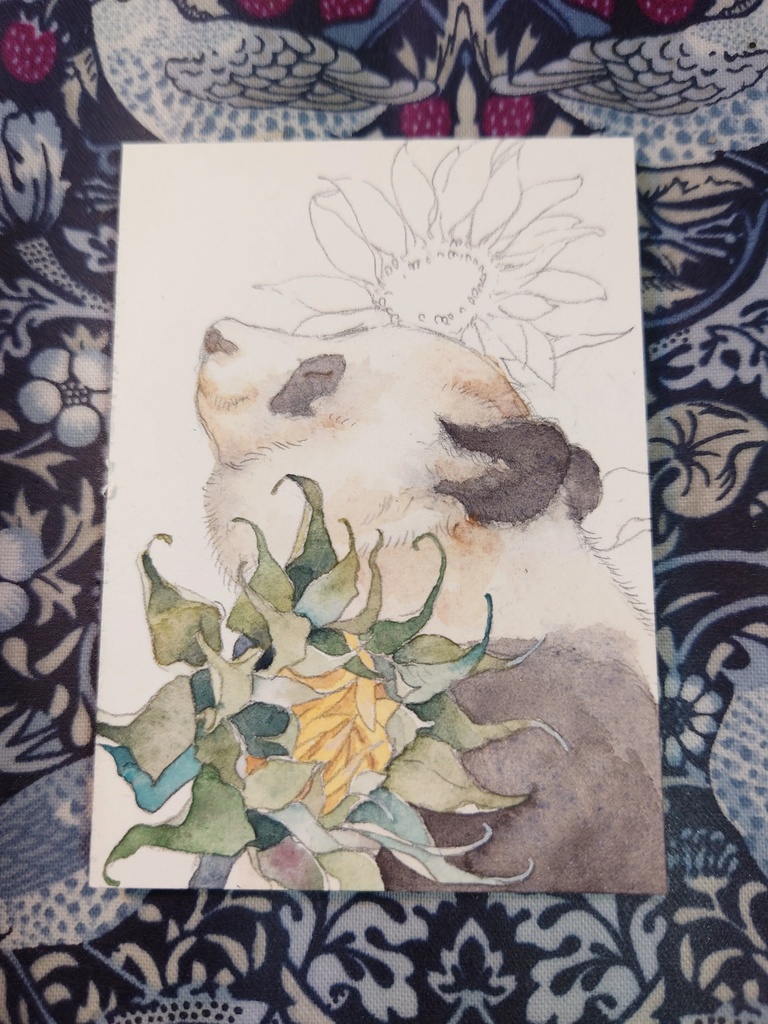 直筆ATC「向日葵」