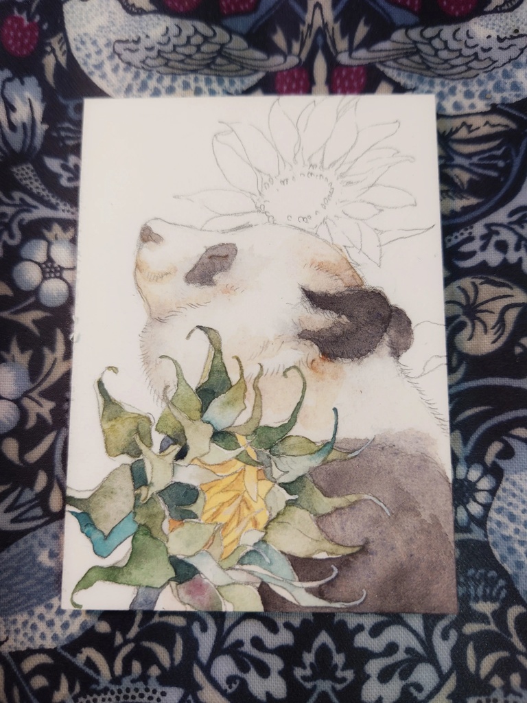 直筆ATC「向日葵」