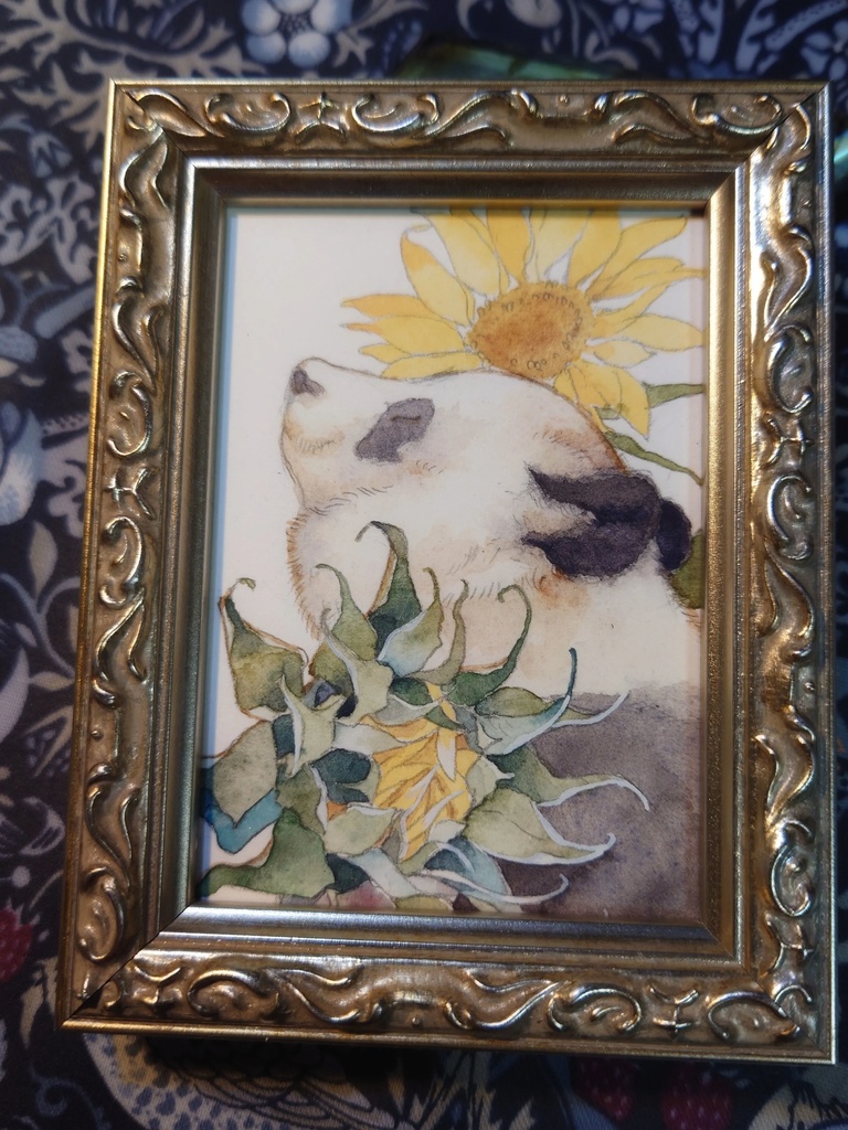 直筆ATC「向日葵」