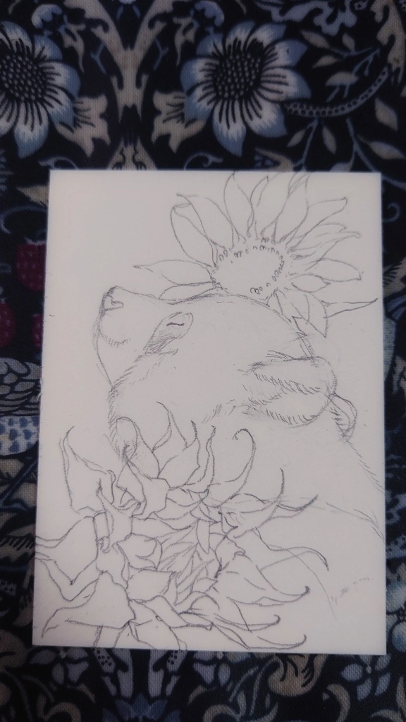 直筆ATC「向日葵」