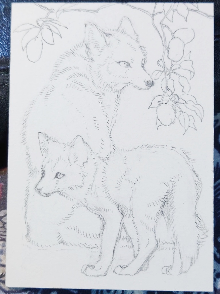 直筆ATC「新月」