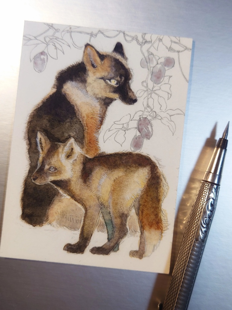 直筆ATC「新月」