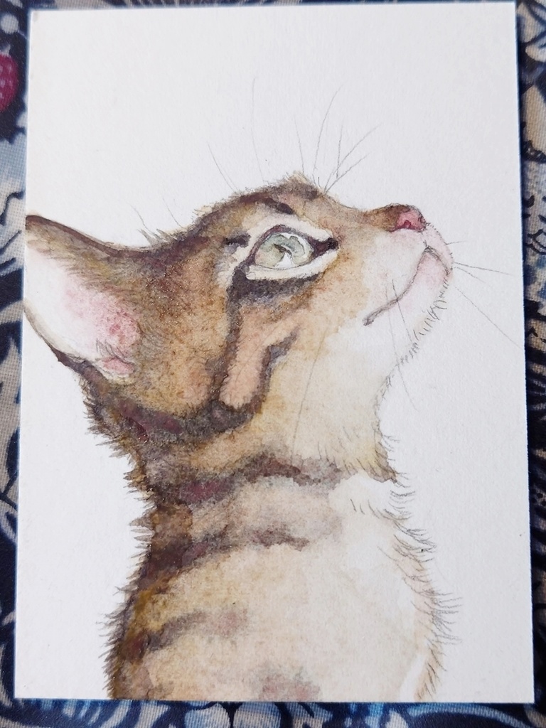 直筆ATC「春めく」