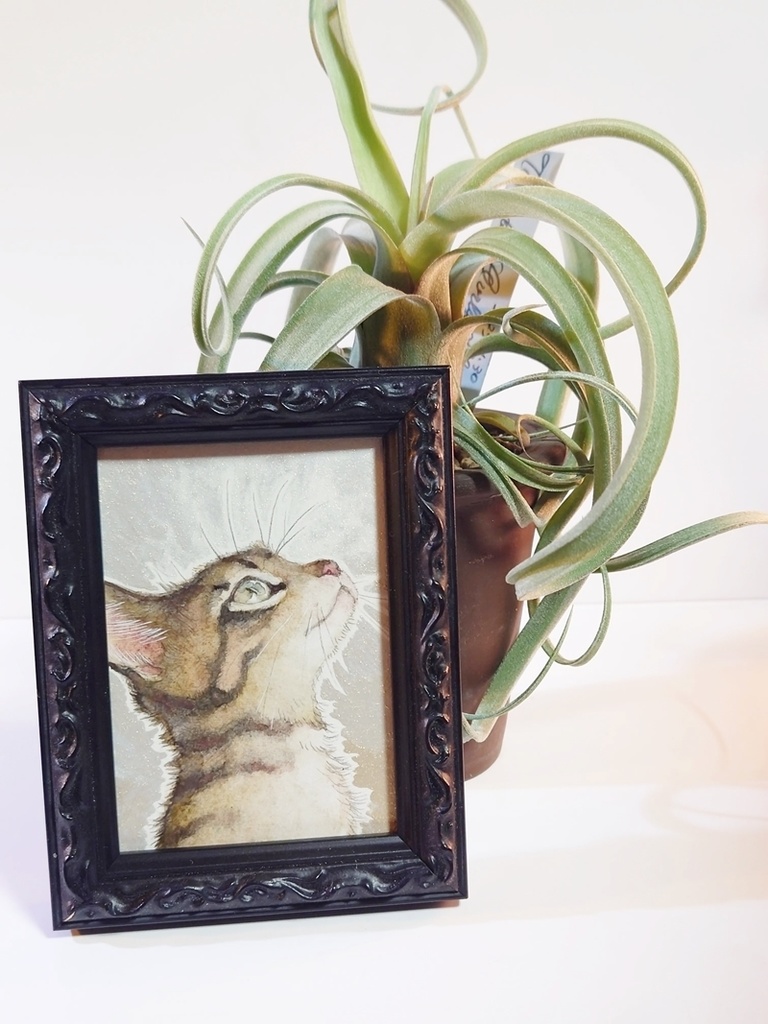 直筆ATC「春めく」