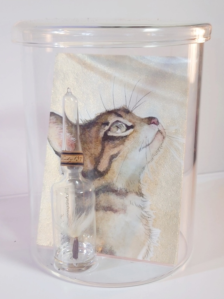 直筆ATC「春めく」