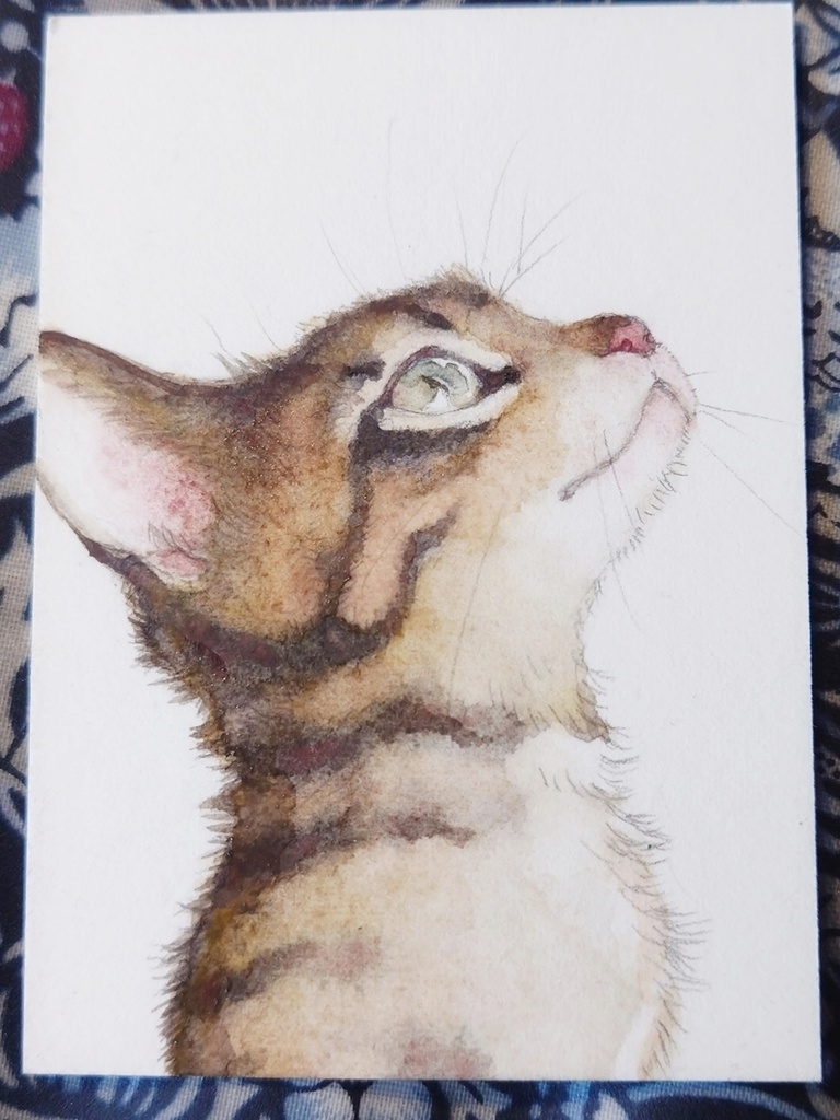 直筆ATC「春めく」