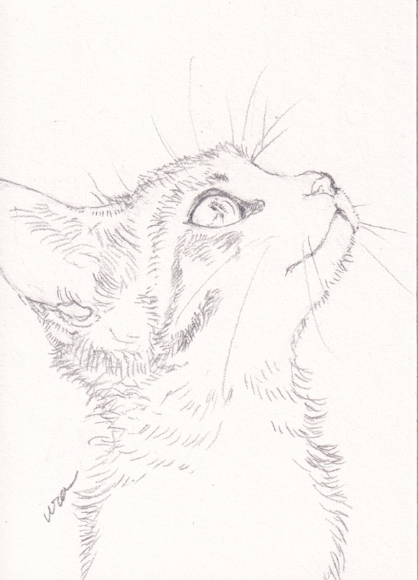 直筆ATC「春めく」