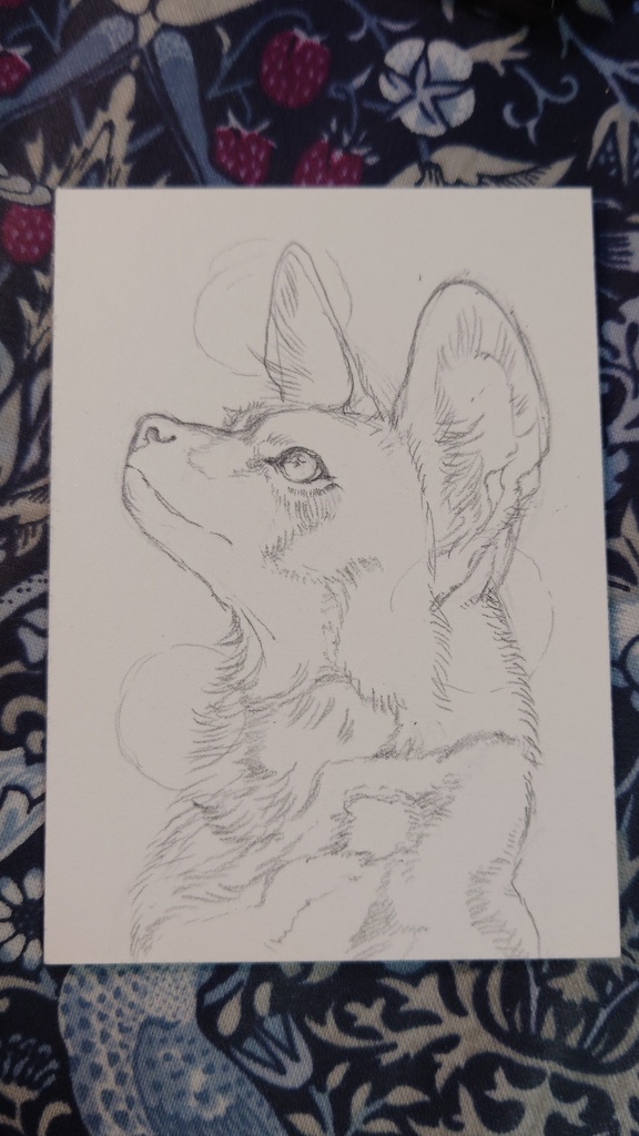 直筆ATC「風薫る」