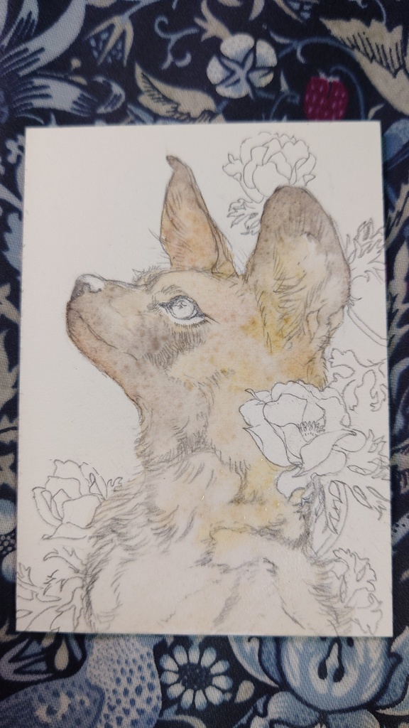 直筆ATC「風薫る」