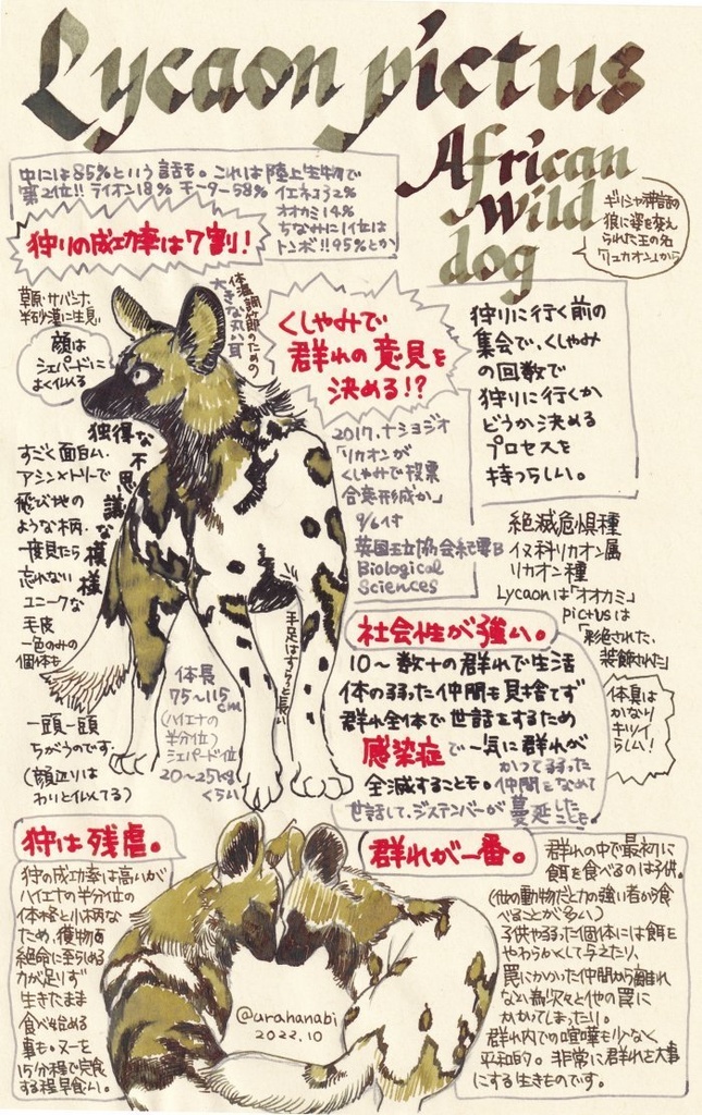 直筆ATC「風薫る」