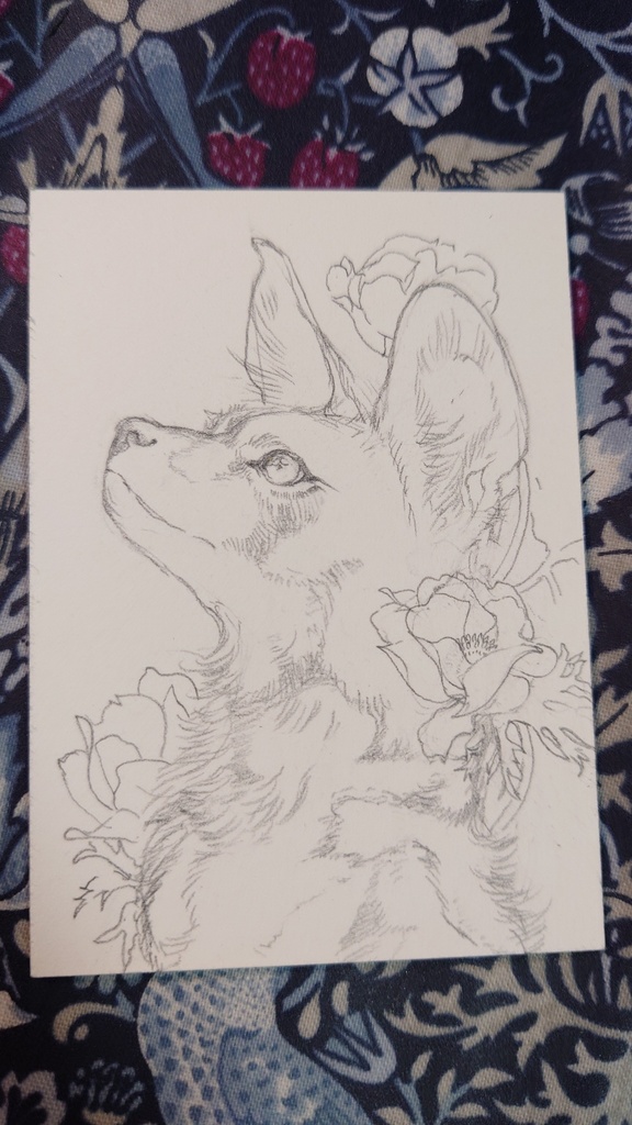 直筆ATC「風薫る」