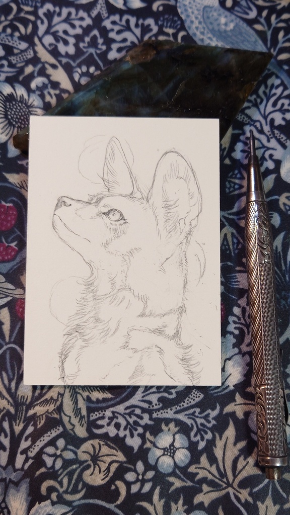 直筆ATC「風薫る」