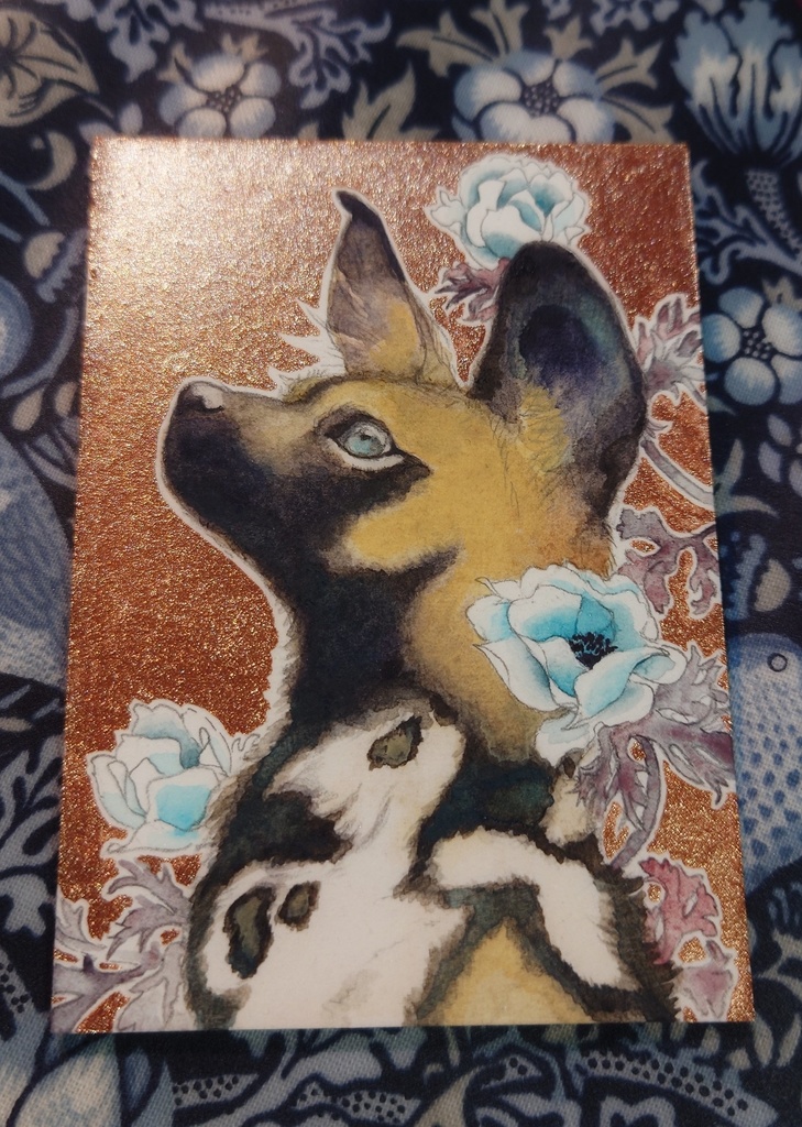 直筆ATC「風薫る」