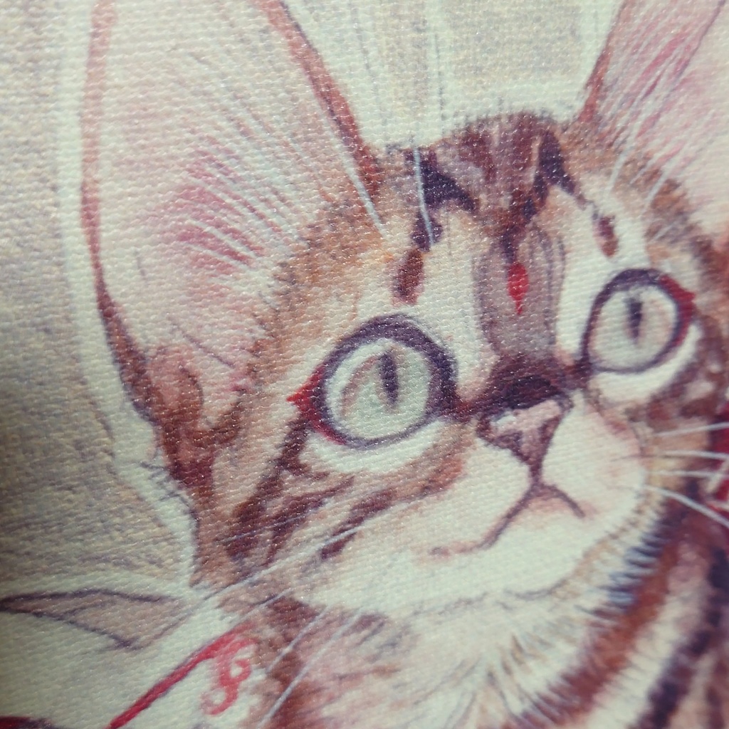 数量限定キャンバスアート「鼓星」