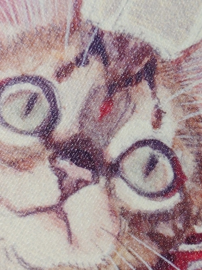 数量限定キャンバスアート「鼓星」