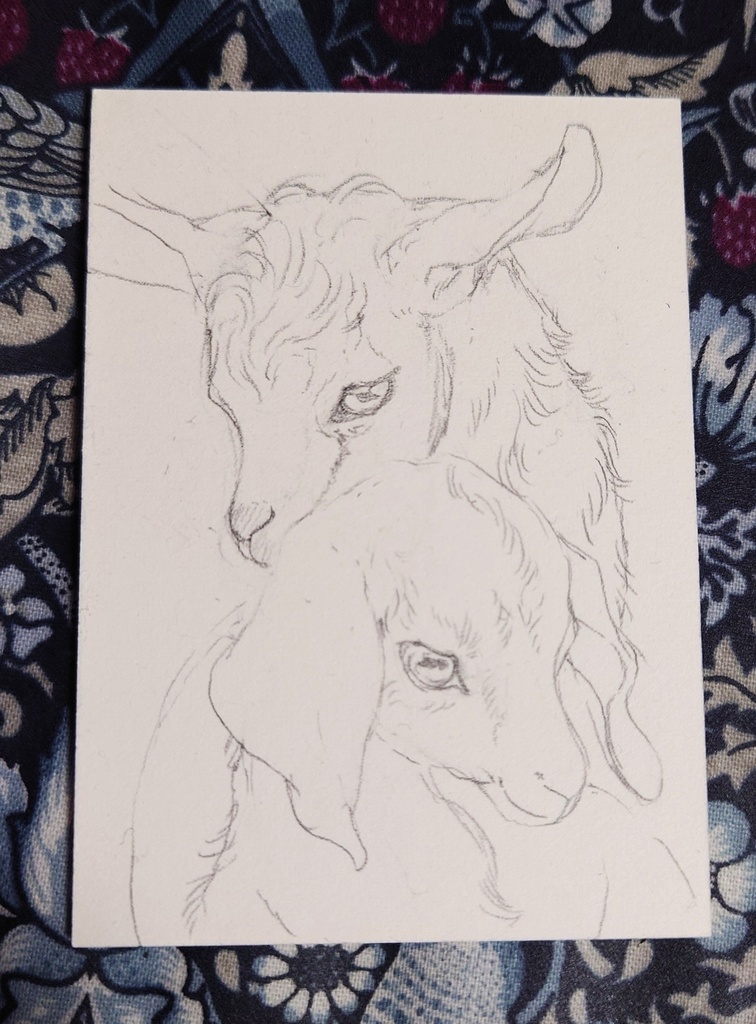 直筆ATC「春の足音」