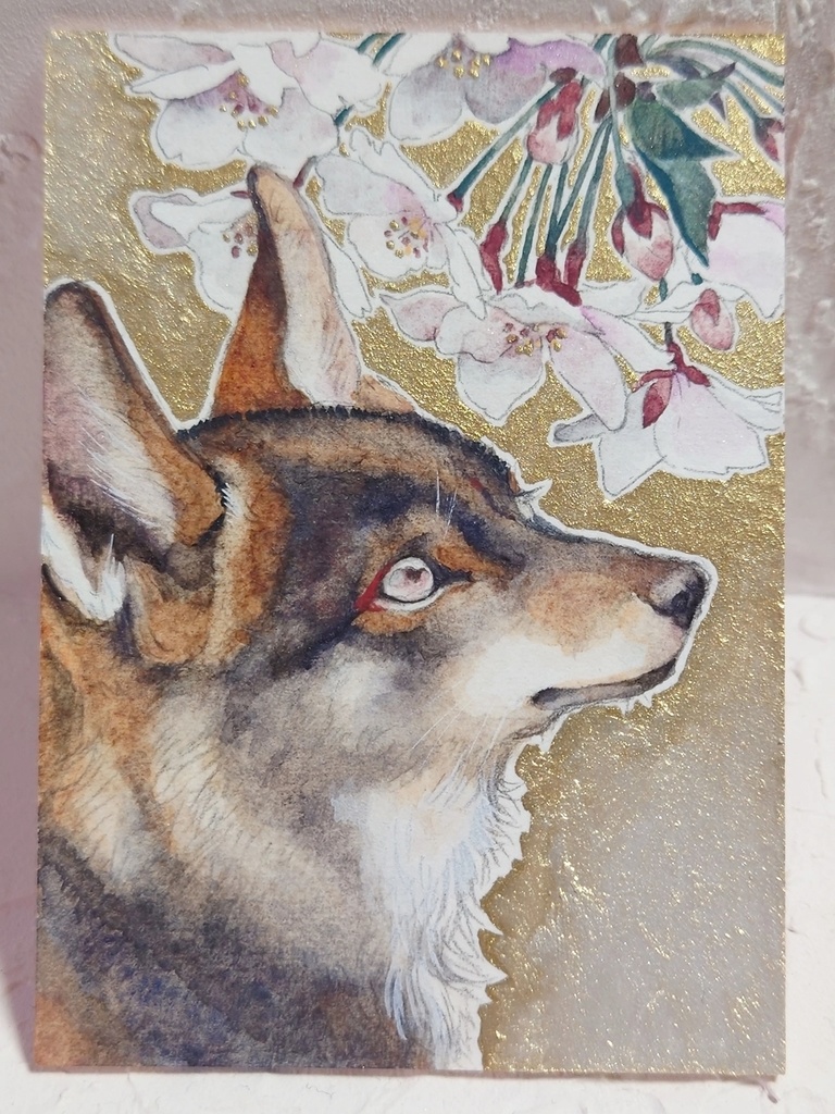 直筆ATC「初桜」