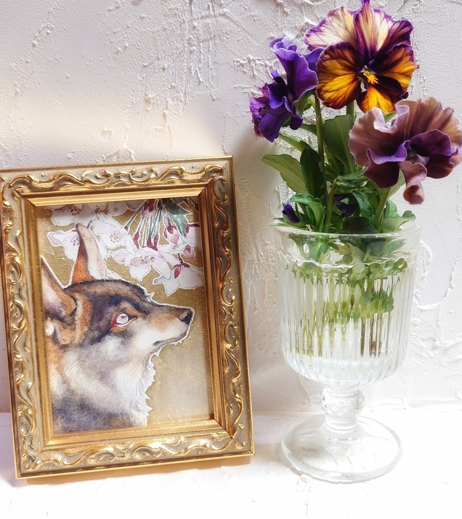 直筆ATC「初桜」