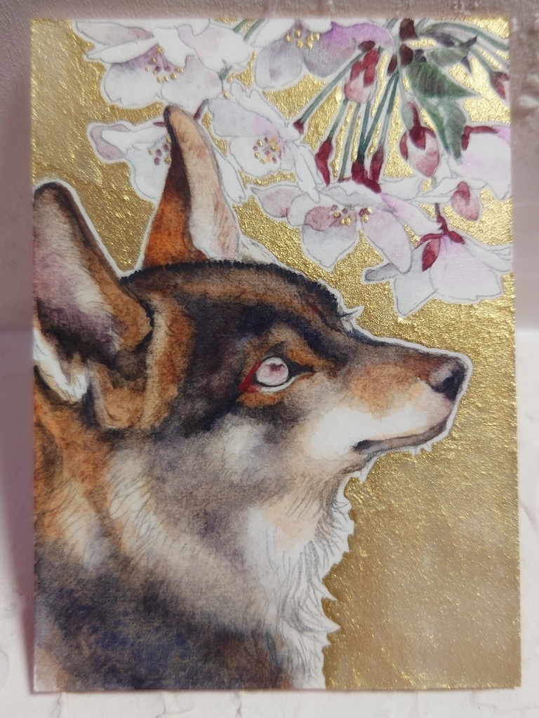 直筆ATC「初桜」