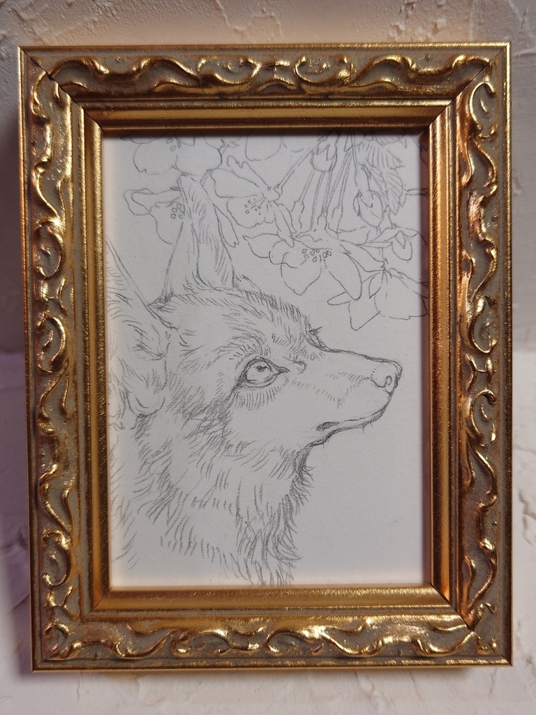 直筆ATC「初桜」