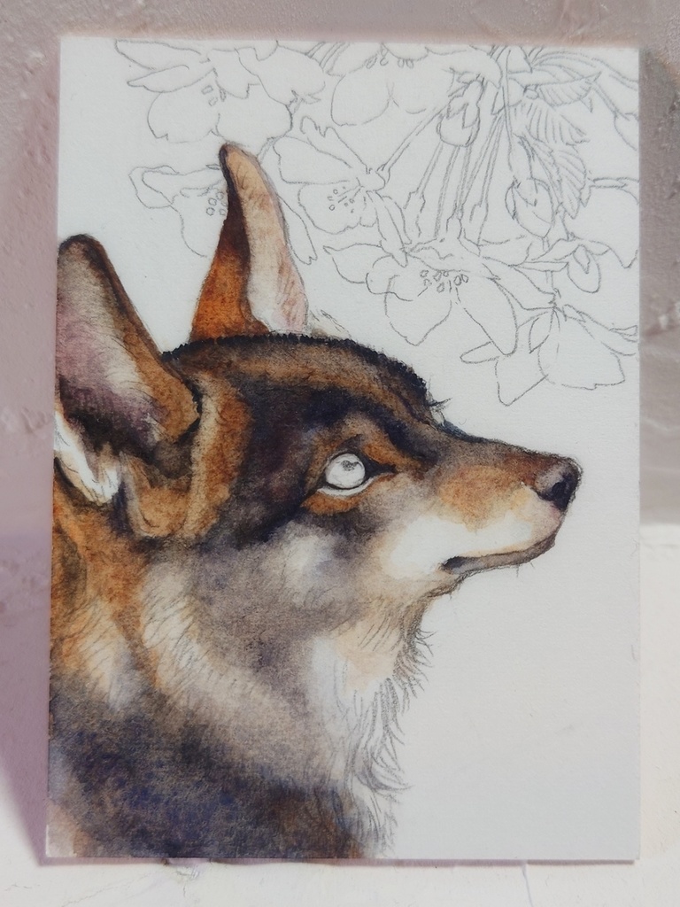 直筆ATC「初桜」