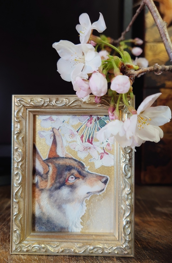 直筆ATC「初桜」