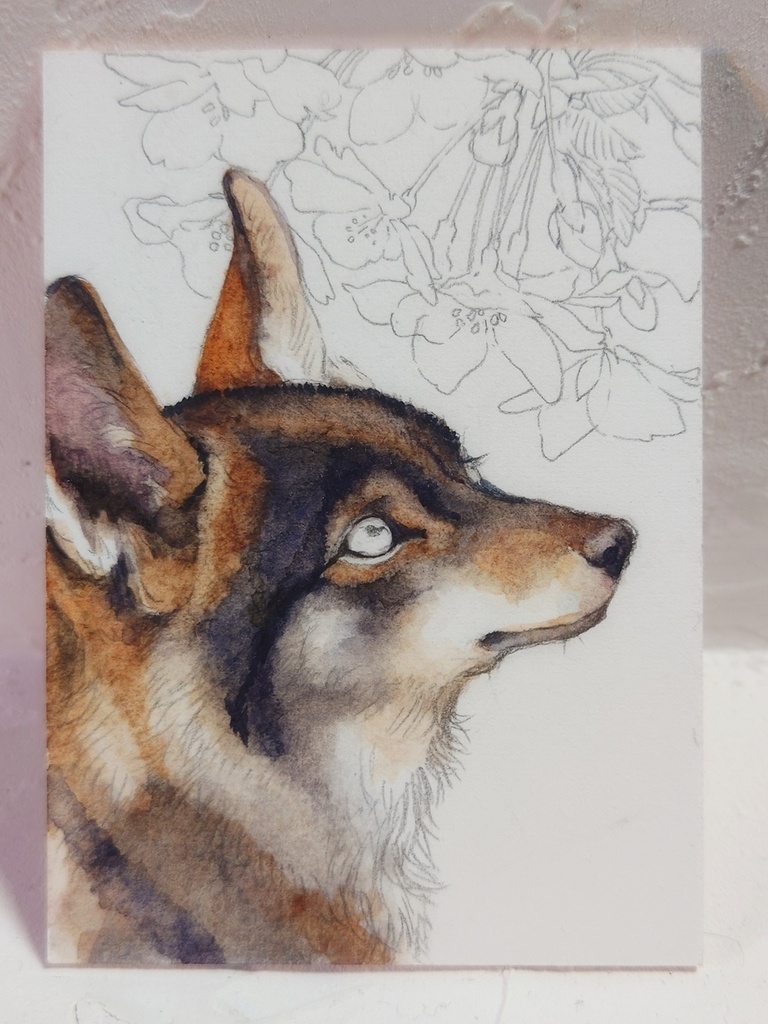 直筆ATC「初桜」