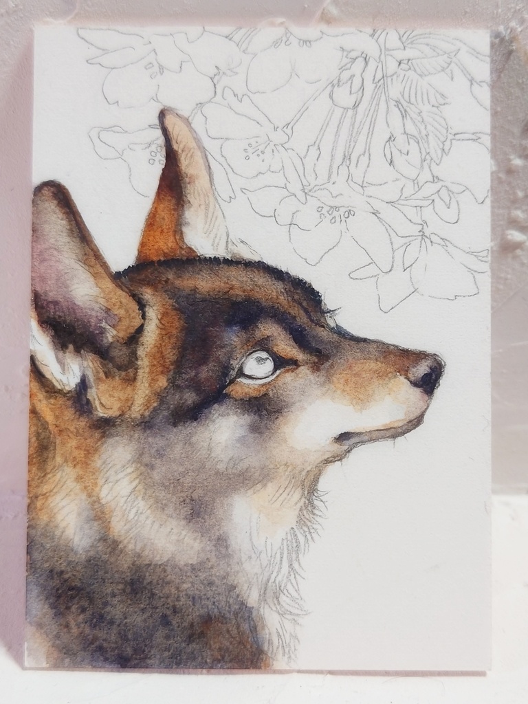 直筆ATC「初桜」