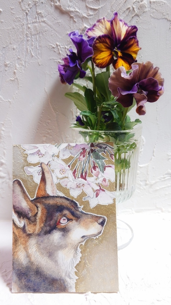 直筆ATC「初桜」