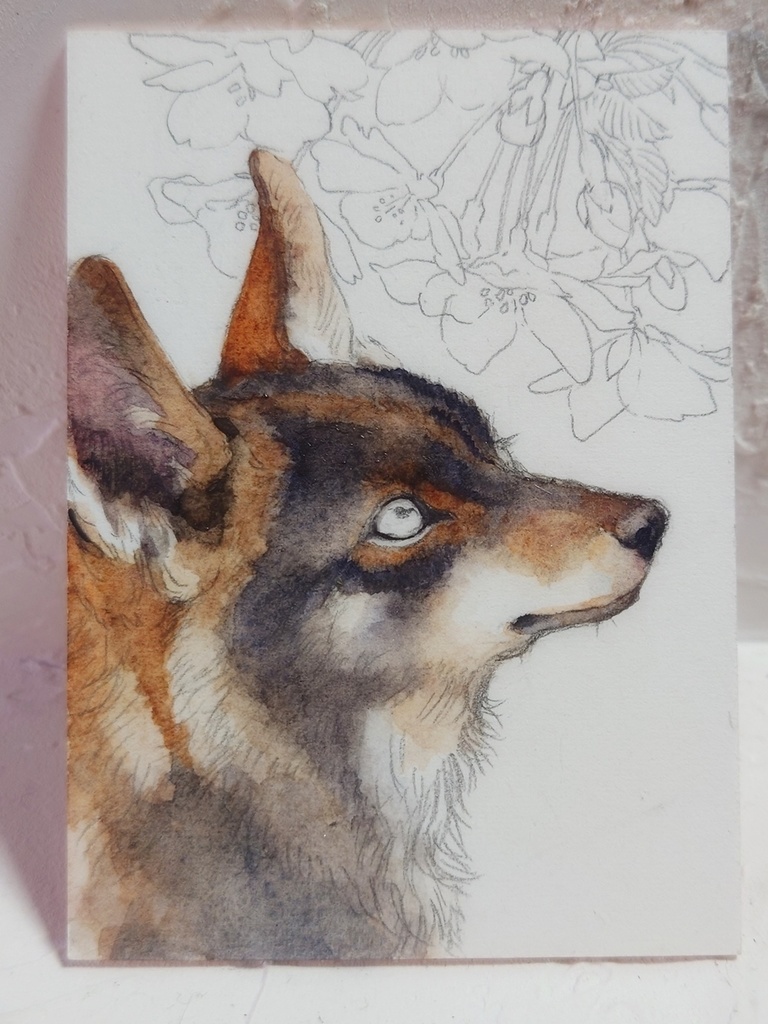 直筆ATC「初桜」