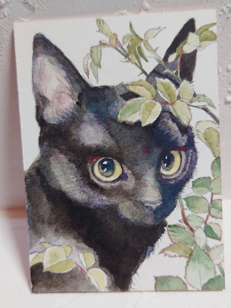 直筆ATC「新梢」