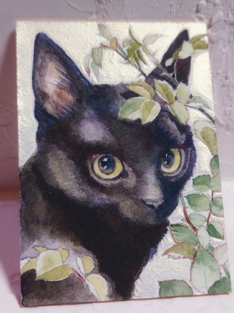 直筆ATC「新梢」