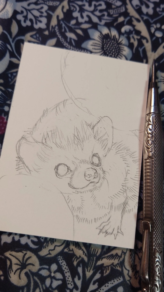 直筆ATC「ラッキーデイ」