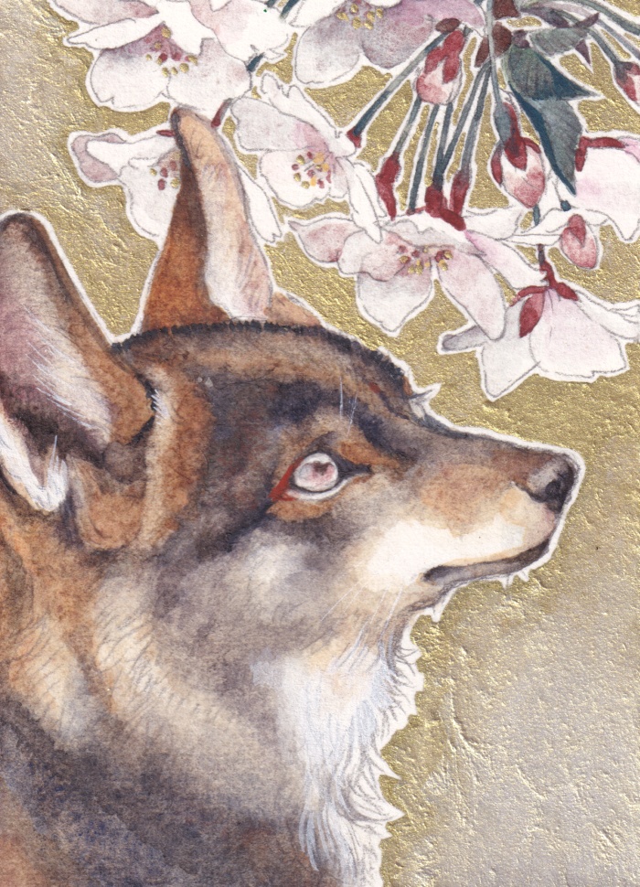 数量限定キャンバスアート「初桜」