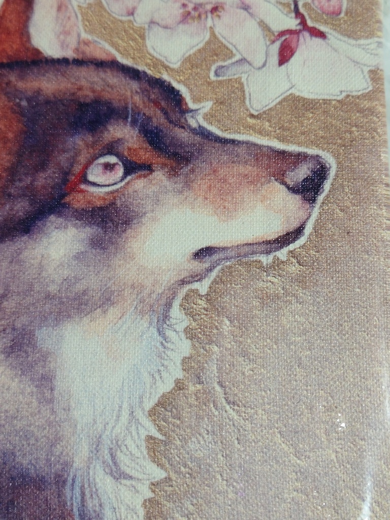 数量限定キャンバスアート「初桜」