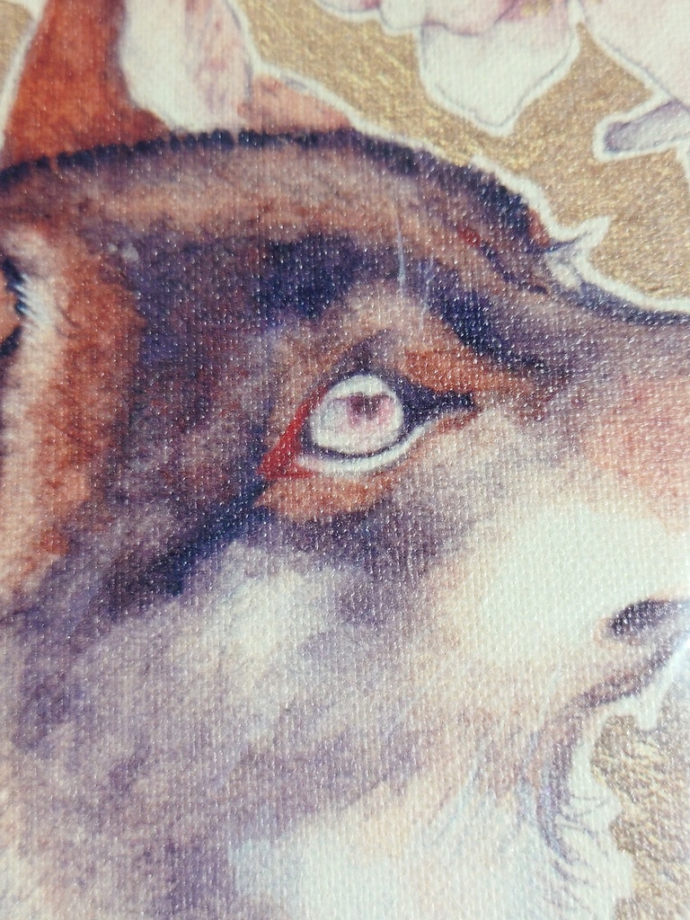 数量限定キャンバスアート「初桜」