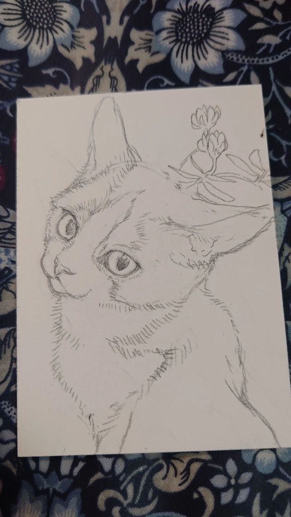 直筆ATC「紅気」