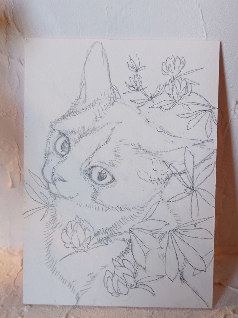 直筆ATC「紅気」