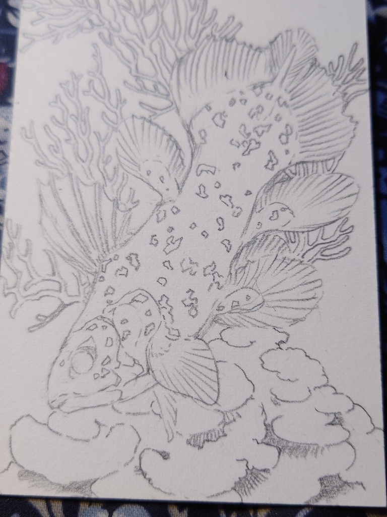 直筆ATC「星祭り」