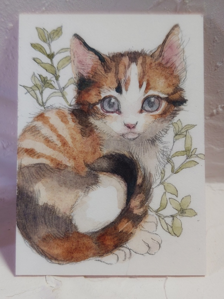 直筆ATC74「一番星」