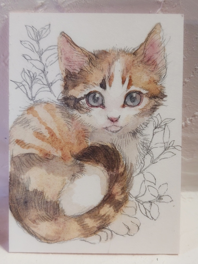 直筆ATC74「一番星」