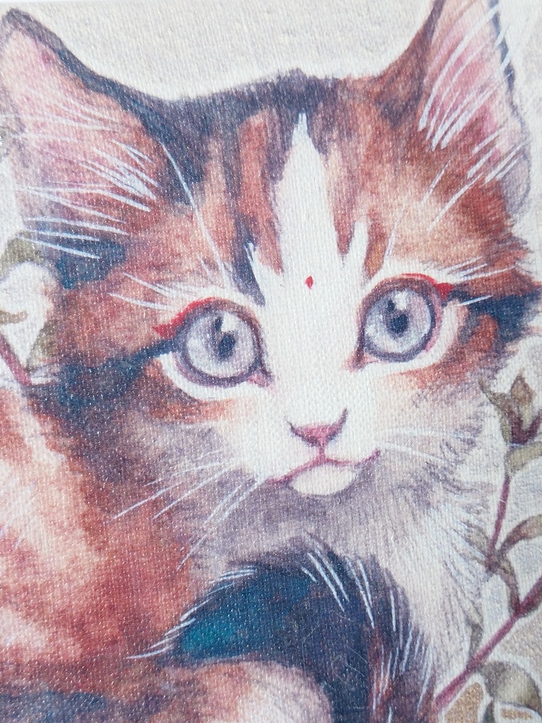 数量限定キャンバスアート「一番星」