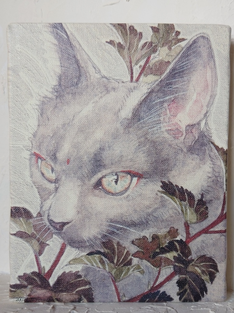 数量限定キャンバスアート「灰猫」