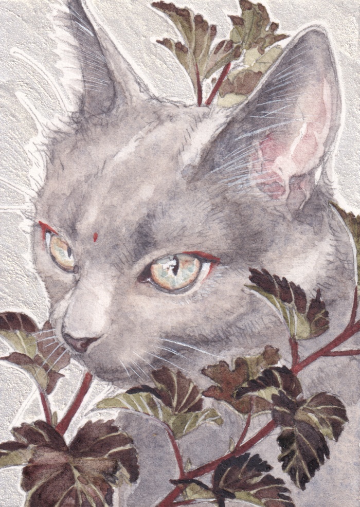 数量限定キャンバスアート「灰猫」